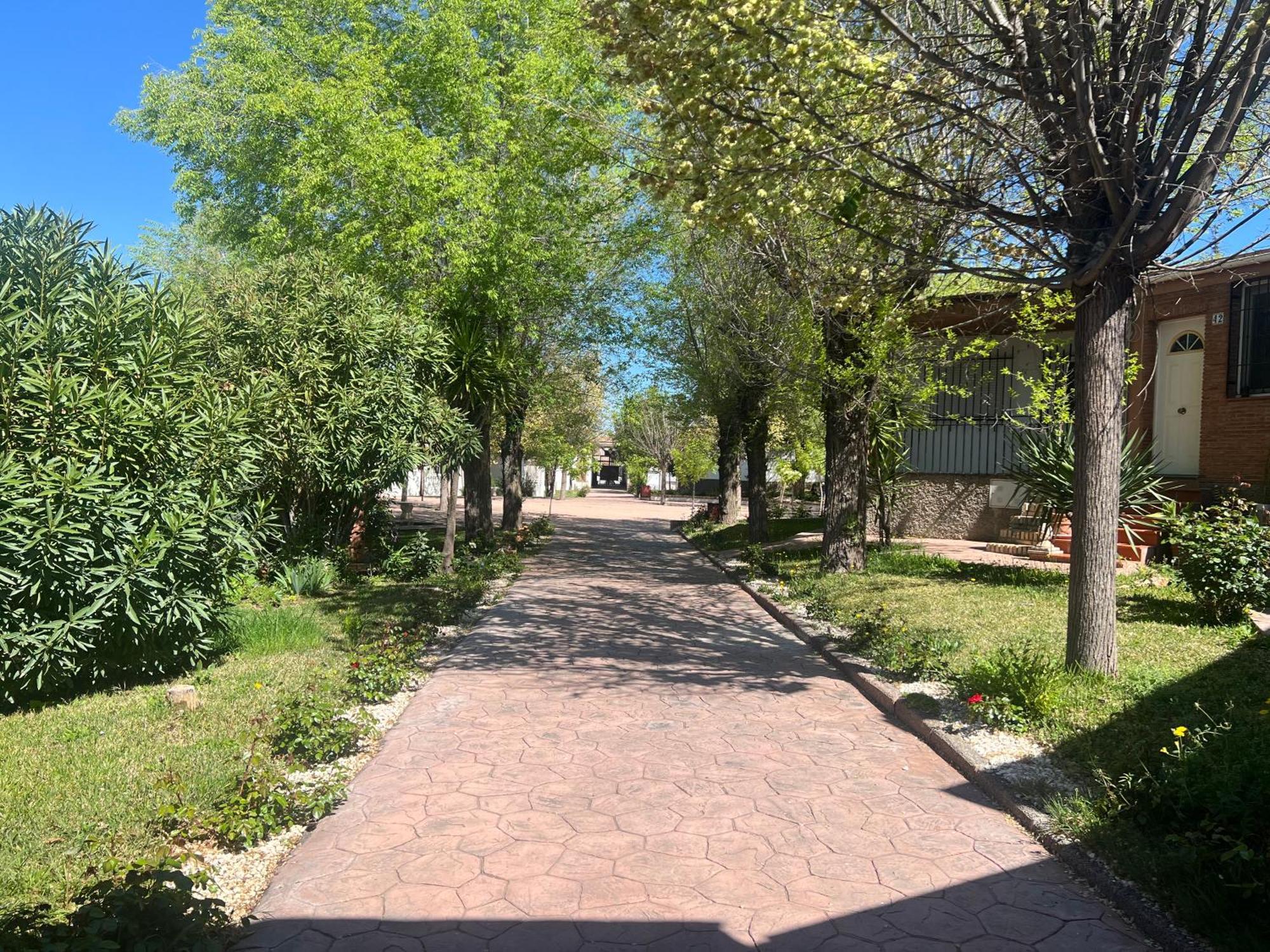 Bungalow Padul El Mamut المظهر الخارجي الصورة